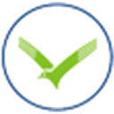 Líneas Aéreas Suramericanas logo