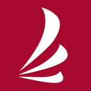 Ravn Alaska logo