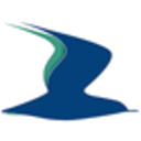 New Livingston S.p.A logo