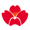 Qingdao Airlines logo